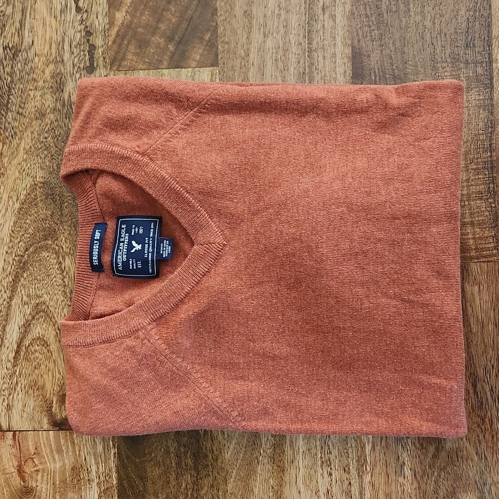 {American Eagle Outfitters} Men's V-neck Sweater Medium